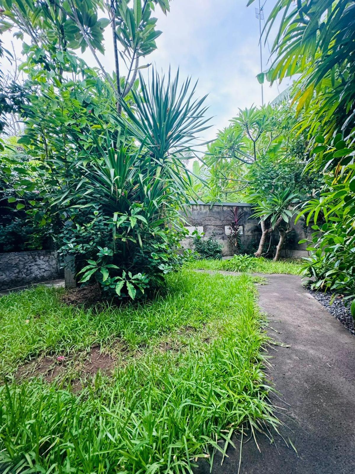 Putu Guest House Pemuteran ภายนอก รูปภาพ
